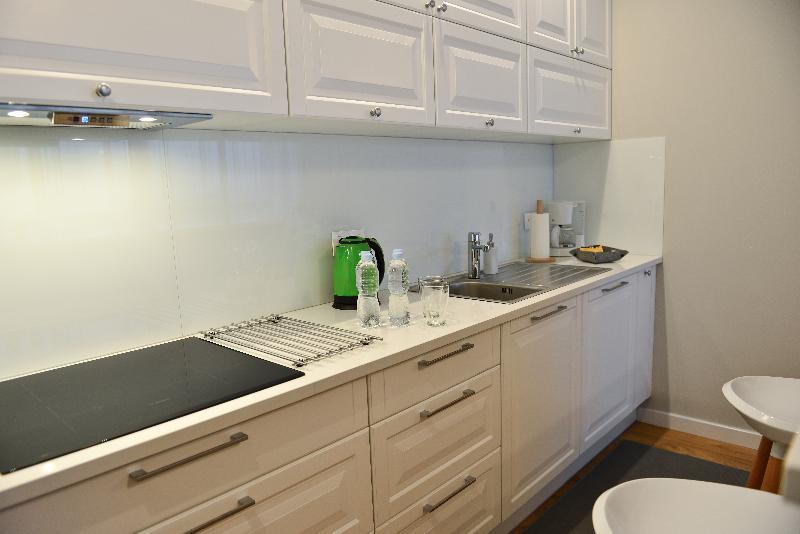 קרקוב La Gioia Elegant Spacious Apartment מראה חיצוני תמונה